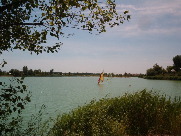 szorf.jpg