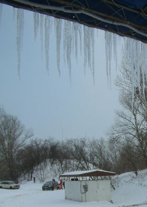 DSCF0028a.jpg