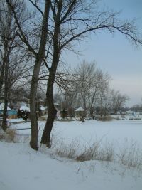 DSCF0029a.jpg
