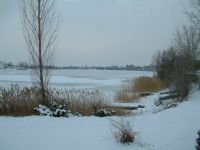 DSCF0030a.jpg