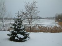 DSCF0035a.jpg