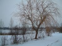 DSCF0057a.jpg