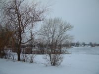 DSCF0058a.jpg