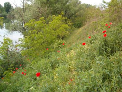 image002.jpg
