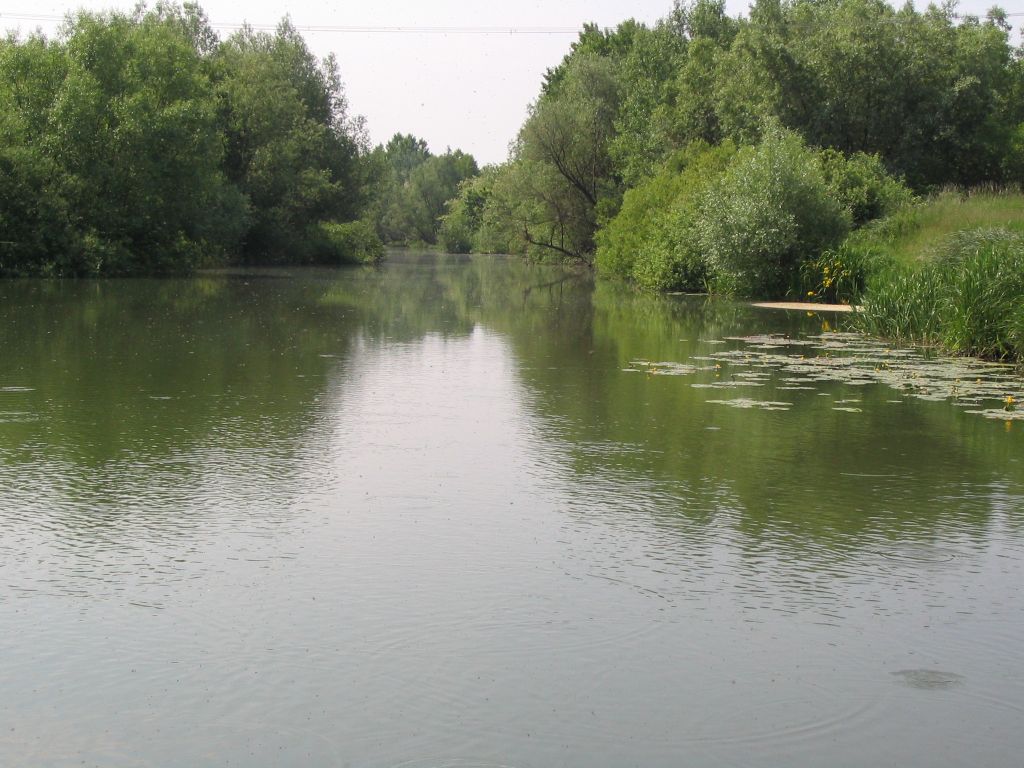 105_0521b.jpg