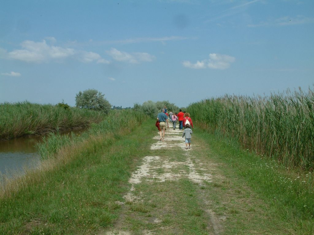 DSCF0251ha.jpg