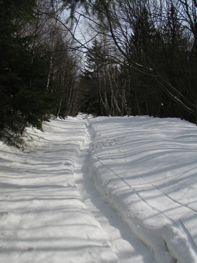 113_1351a.jpg