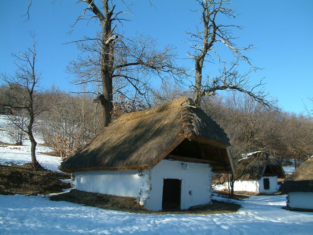 DSCF0139a.jpg