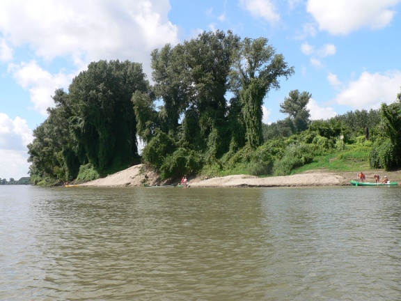P1030387a.jpg