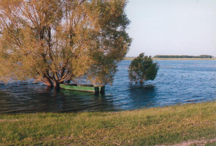 folyo1.JPG