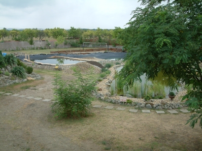 DSCF0128a.jpg