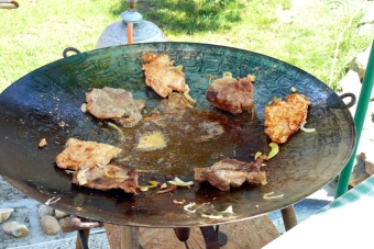 P1010262a.jpg