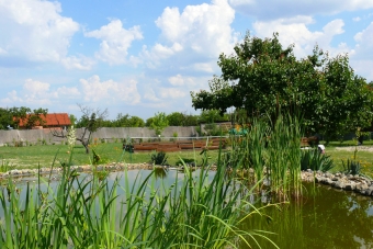 P1010279a.jpg