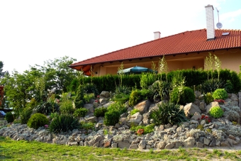 P1010373a.jpg