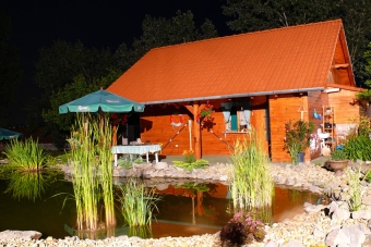 P1010450a.jpg