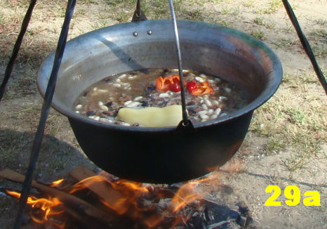 babgulyas.jpg