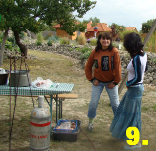 fozes1a.jpg