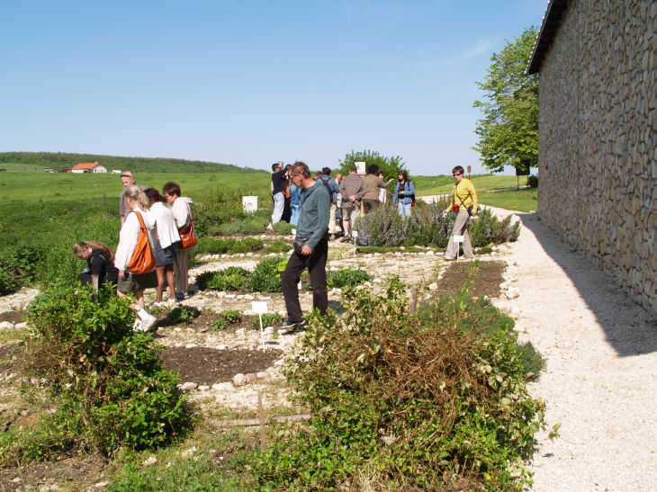Balaca_20080502_03a.jpg