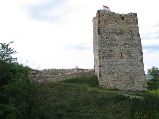 IMG_4564aa.jpg