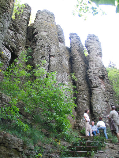 IMG_4851aa.jpg