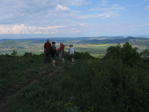 STF_4838aa.jpg