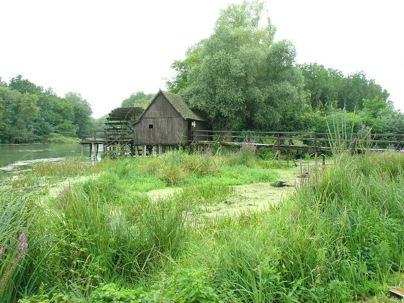 2008_0808_091558AA.jpg