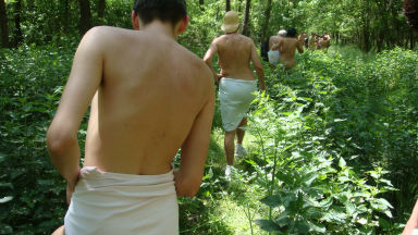 19natura04_csalanosban.jpg