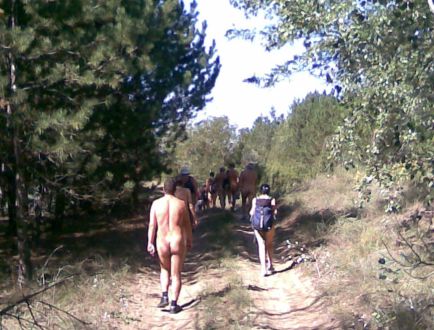 menet6.jpg