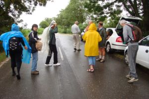 DSC04022a.jpg