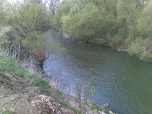20100411(005)a.jpg