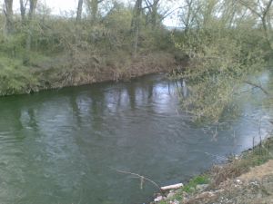 20100411(006)a.jpg