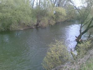 20100411(007)a.jpg