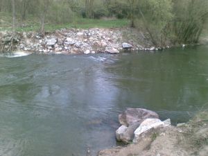 20100411(010)a.jpg