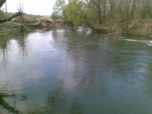 20100411(011)a.jpg