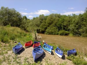 felip_P110611_10.54.jpg