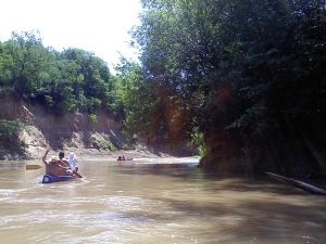 ip_felP110611_12a.jpg