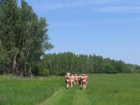 IMG_5501a.jpg