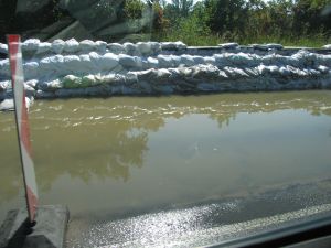 IMG_0221h.jpg