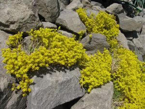 IMG_0238h.jpg