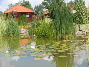 IMG_0240h.jpg