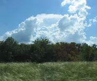 IMG_0258h.jpg