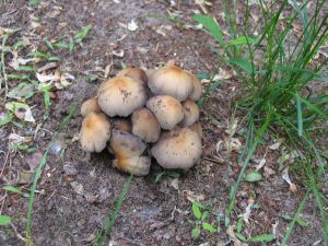 IMG_9526h.jpg