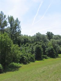 IMG_4811nt.jpg