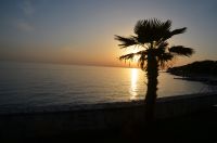 DSC_0796h.jpg