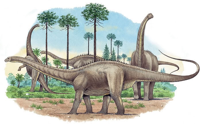 apatosaurus.jpg