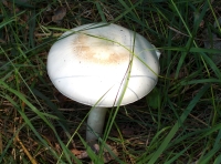 DSCN0728h.jpg