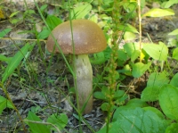 DSCN3691.jpg
