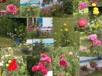DSCN5143vvvvvvvvvvvvv.jpg