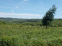 DSCN5019h.jpg