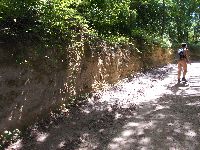 DSCN5020h.jpg